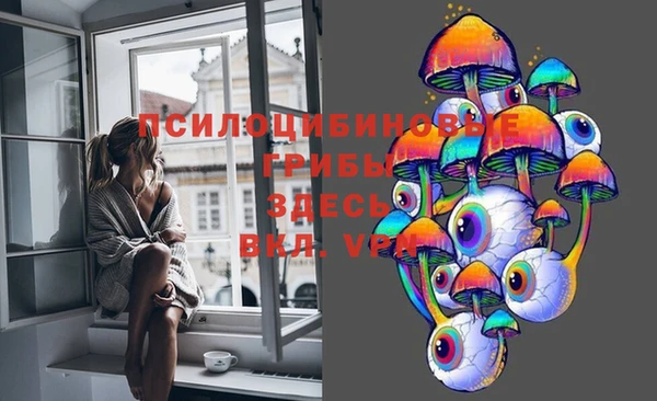 прущие крисы Алексин