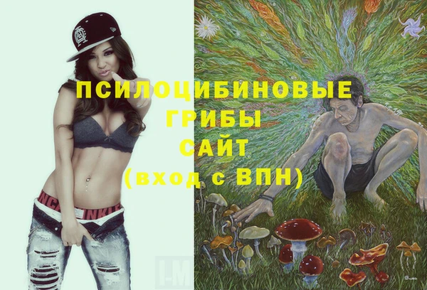 прущие крисы Алексин