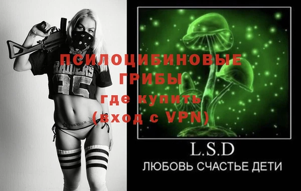 а пвп мука Алзамай