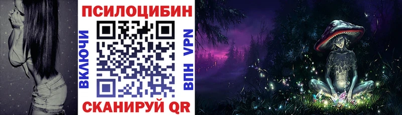 Галлюциногенные грибы Psilocybine cubensis  Пермь 