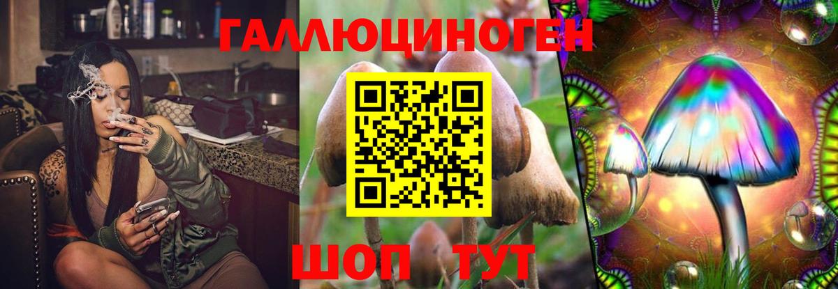 Псилоцибиновые грибы прущие грибы Пермь
